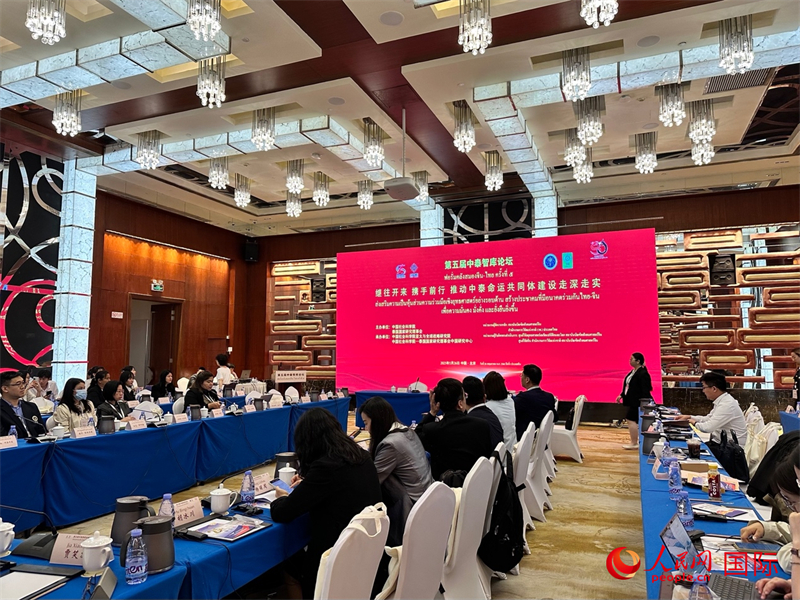 第五屆中泰智庫(kù)論壇現(xiàn)場(chǎng)。人民網(wǎng) 孫書(shū)宇攝